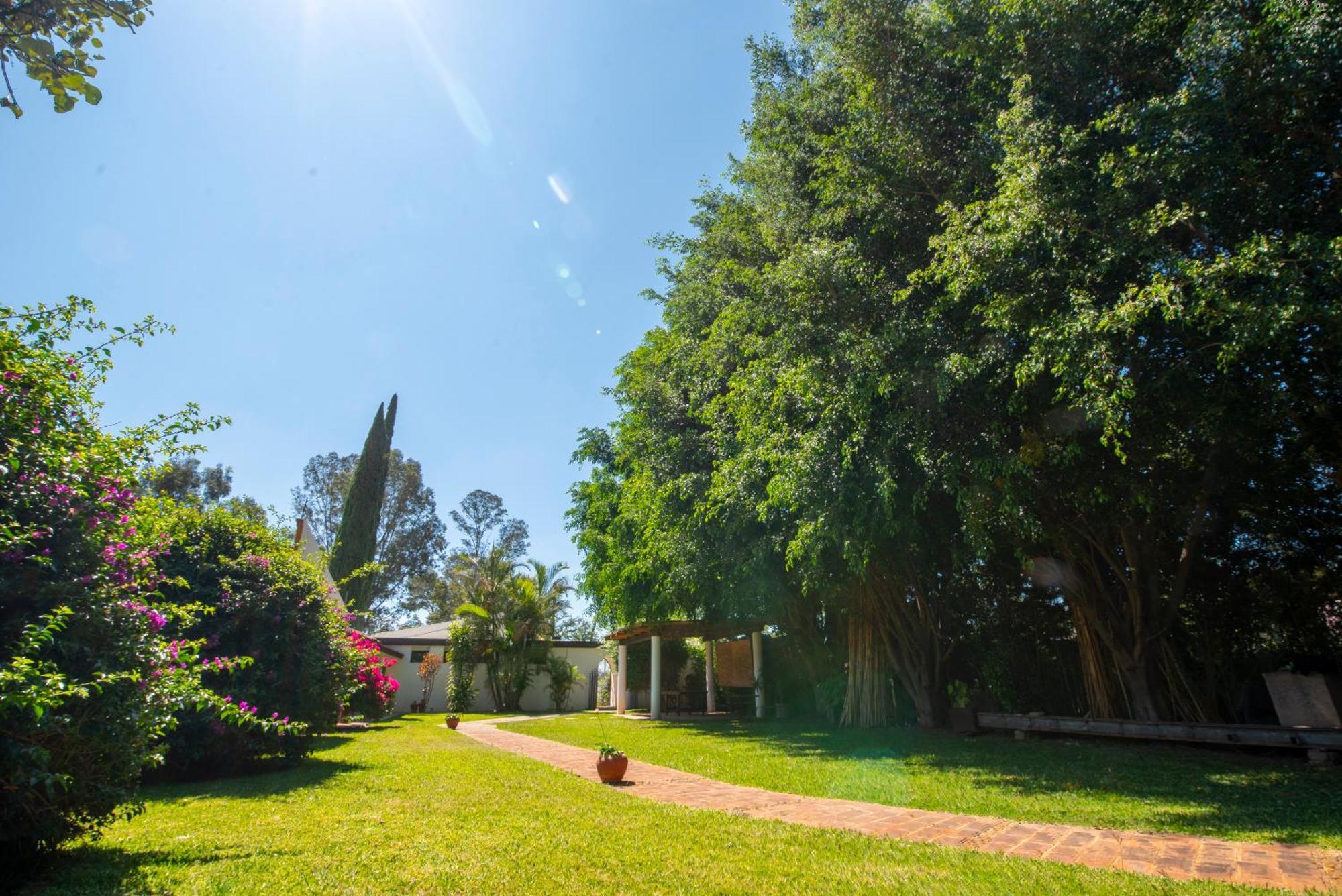 Villa Borghese Hotel Boutique - Adults Only Oaxaca Bagian luar foto