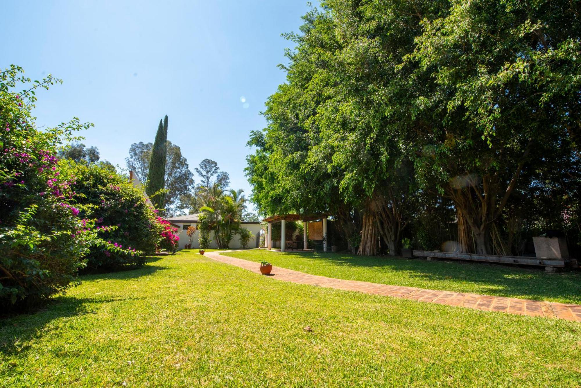 Villa Borghese Hotel Boutique - Adults Only Oaxaca Bagian luar foto